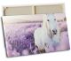 timalo® Kinderzimmer Wandbild Bild auf Leinwand Kinder Bilder für die Wand Leinwandbild xxl personalisiert mit Namen Mädchen Jungen Bild fürs Teenager Zimmer | 60 x 40 cm Weißes Pferd, Lavendel
