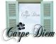 Glastattoo Carpe Diem glas031