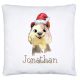 timalo® Cooles Kissen mit Namen | personalisiertes Dekokissen mit Wunschname Kopfkissen Deko für Kinder individuelles Geschenk Quoka Weihnachtsgeschenke Weihnachten Nikolaus | kissen-tx-10
