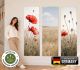 Wandbilder selbstklebend im 3er-Set | Mohnblumen Wandtattoo blasenfrei für Wohnzimmer Schlafzimmer