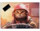 Gaming Schreibtischunterlage personalisiert mit Namen | wasserfeste Schreibunterlage, abwischbar, hochwertiges Acrylglas, Gamer Teenager Kunststoff |Katze