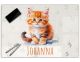 Schreibtischunterlage personalisiert mit Namen | Katze | stabile, abwischbare Schreibunterlage für Kinder Acrylglas Kunststoff