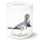 timalo® Coole Spardose personalisiert mit Namen | Personalisierbares Geschenk Sparschwein für Kinder Tiere Geschenkidee  | Robbe spardose-t-45