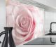 Spritzschutz Wand für Herd, Küche Küchenrückwand Glasoptik | Acryl Glas 2mm | Glasrückwand Acrylglas Wandpaneele Rückwandschutz Platte | Rosa Rose