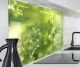 Spritzschutz Wand für Herd, Küche Küchenrückwand Glasoptik | Acryl Glas 2mm | Glasrückwand Acrylglas Wandpaneele Rückwandschutz Platte | Grüne Kräuter Natur