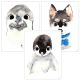 Poster Kinderzimmer Tiere| Wandposter Bilder 3er Set Mädchen Junge | t3er01-t007 |Pinguin, Seelöwe, Husky