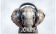 Bild für die Wand Kinderzimmer Witzige Tiere Jungs und Mädchen Zimmer Wandbilder Teenager | Motiv Elefant Poster