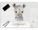 Schreibunterlage für Kinder, abwischbar, glatt und wasserfest | stabiles, hochwertiges Acrylglas, Kunststoff Tiermotive Glas Optik, Kinder Kunststoff Tiere | 07- Nashorn